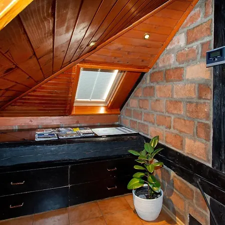 Mansarda Roof Center Apartman *